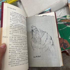 鬼吹灯插图限量本二到八，共7本合售
