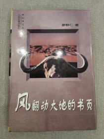 风翻动大地的书页