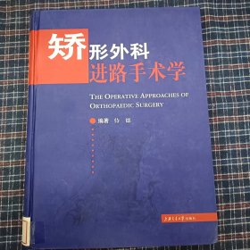 矫形外科进路手术学