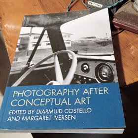Photography After Conceptual Art