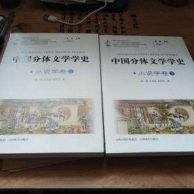 中国分体文学学史. 小说学卷