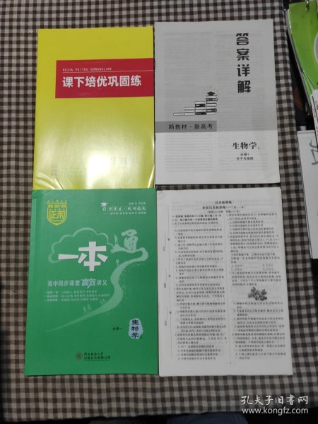 正禾一本通.高中同步课堂高效讲义 生物学 必修一