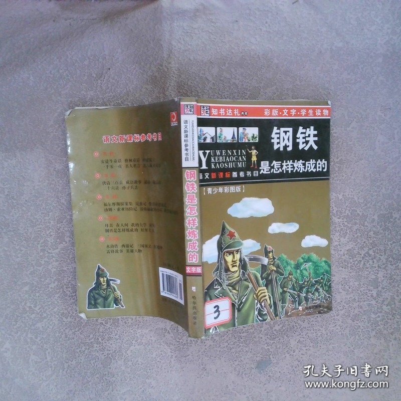 钢铁是怎样炼成的 文字版 (青少年彩图版)