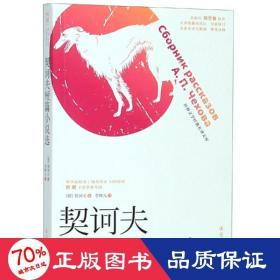 契訶夫短篇小說(shuō)選 外國(guó)文學(xué)名著讀物 李輝凡