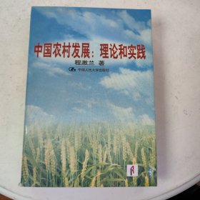 中国农村发展:理论和实践