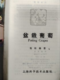 盆栽葡萄