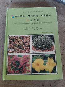 观叶植物·多浆植物·木本花卉原色图谱