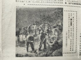 《农村科技报》1972年1月28日。嘉兴地区农业学大寨的先进单位——海宁县许村公社永福大队。实现粮食生产大丰收的突破。绍兴县朝阳公社曙光大队大搞“四旁”绿化。义乌县大陈公社金山大队勤俭办科研。海宁县钱塘公社云龙大队大抓桑园培育管理。猪“小桃花”阉割术。