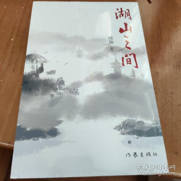 湖山之间（描绘了母女两代人与时代相同步的命运史和心灵）