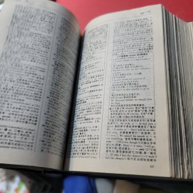 学生实用英汉大词典