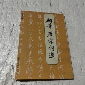 钢笔唐宋词选