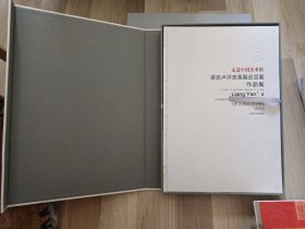 走进中国美术馆 : 梁岩卢浮宫画展巡回展作品集