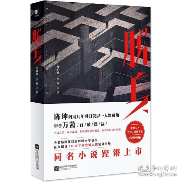 脱身 历史、军事小说 汪启楠，李琳 新华正版