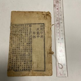 清代木刻本康熙字典，散叶大概42叶，，品如图，轻微虫蛀，整体保存还好，古旧图书，不支持退换