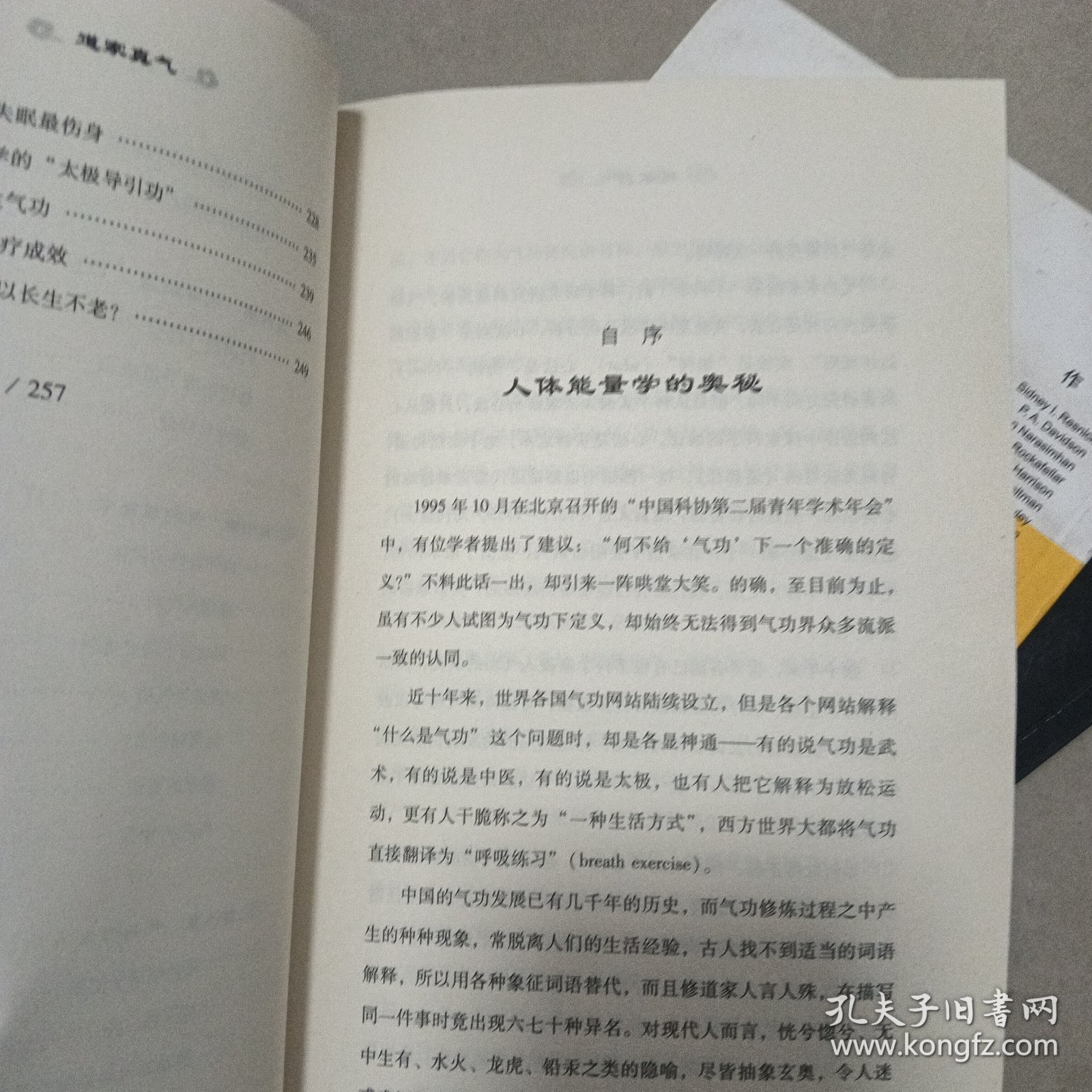 道家真气