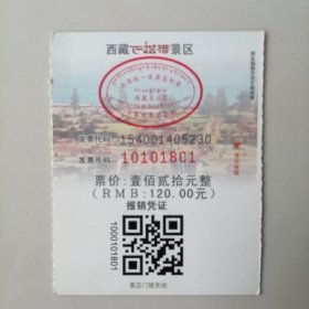 西藏巴松措景区报销凭证