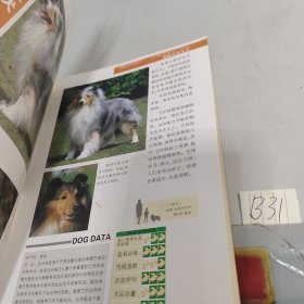 世界爱犬131种名录:珍藏版