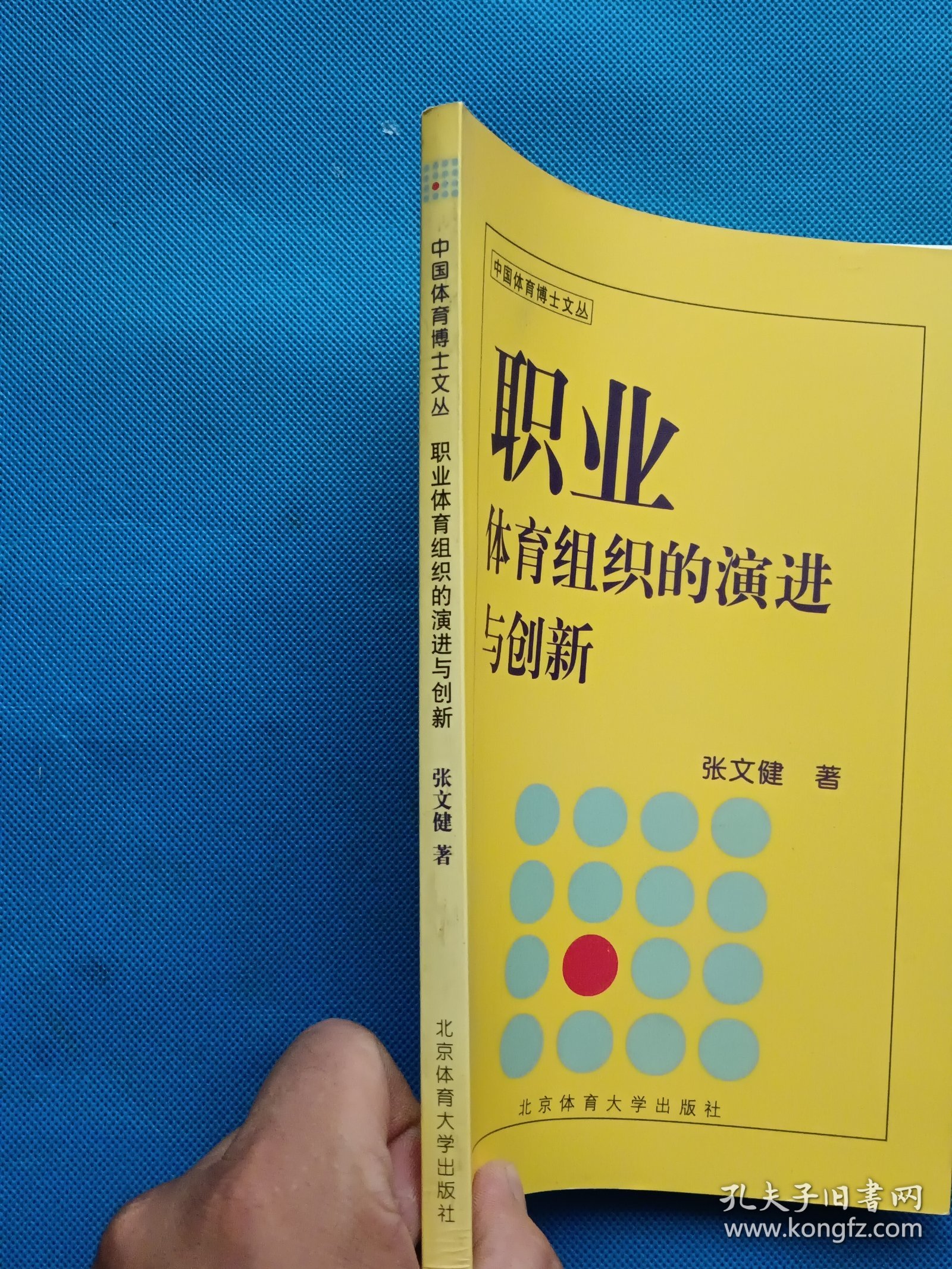 中国体育博士文丛：职业体育组织的演进与创新【书内干净】