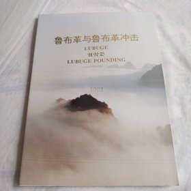 鲁布革与鲁布革冲击1992 (16开铜版宣传画册)