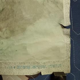 虎   光元鲲作   安微人民出版社  1981年