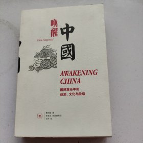 唤醒中国：国民革命中的政治文化与阶级