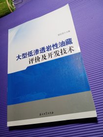 大型低渗透岩性油藏评价及开发技术