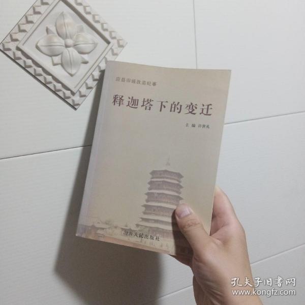 释迦塔下的变迁:应县旧城改造纪事