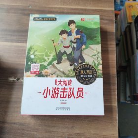学而思大阅读 小游击队员 盒装全9册（精读智能版）