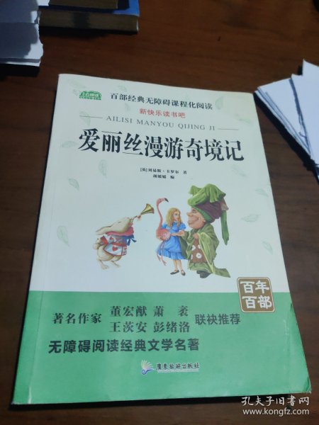 爱丽丝漫游奇境记小学教辅指定版附带考点题型训练阅读课外读物世界经典文学名著