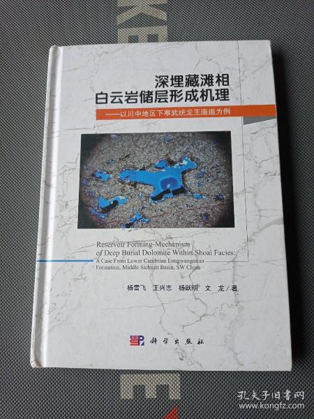 深埋藏滩相白云岩储层形成机理：以川中地区下寒武统龙王庙组为例