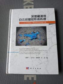 深埋藏滩相白云岩储层形成机理：以川中地区下寒武统龙王庙组为例