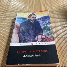 （现货）A Nietzsche Reader