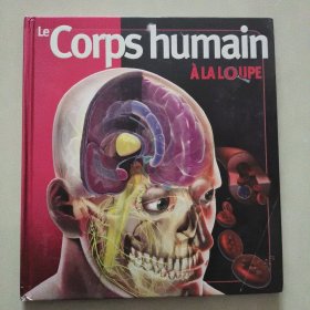（A La loupe) le corps humain 法文插绘本 精装12开