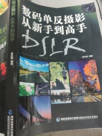 数码单反摄影从新手到高手