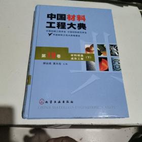 中国材料工程大典（第19卷）（材料铸造成形工程）（下）