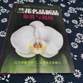 兰花名品新品鉴赏与栽培