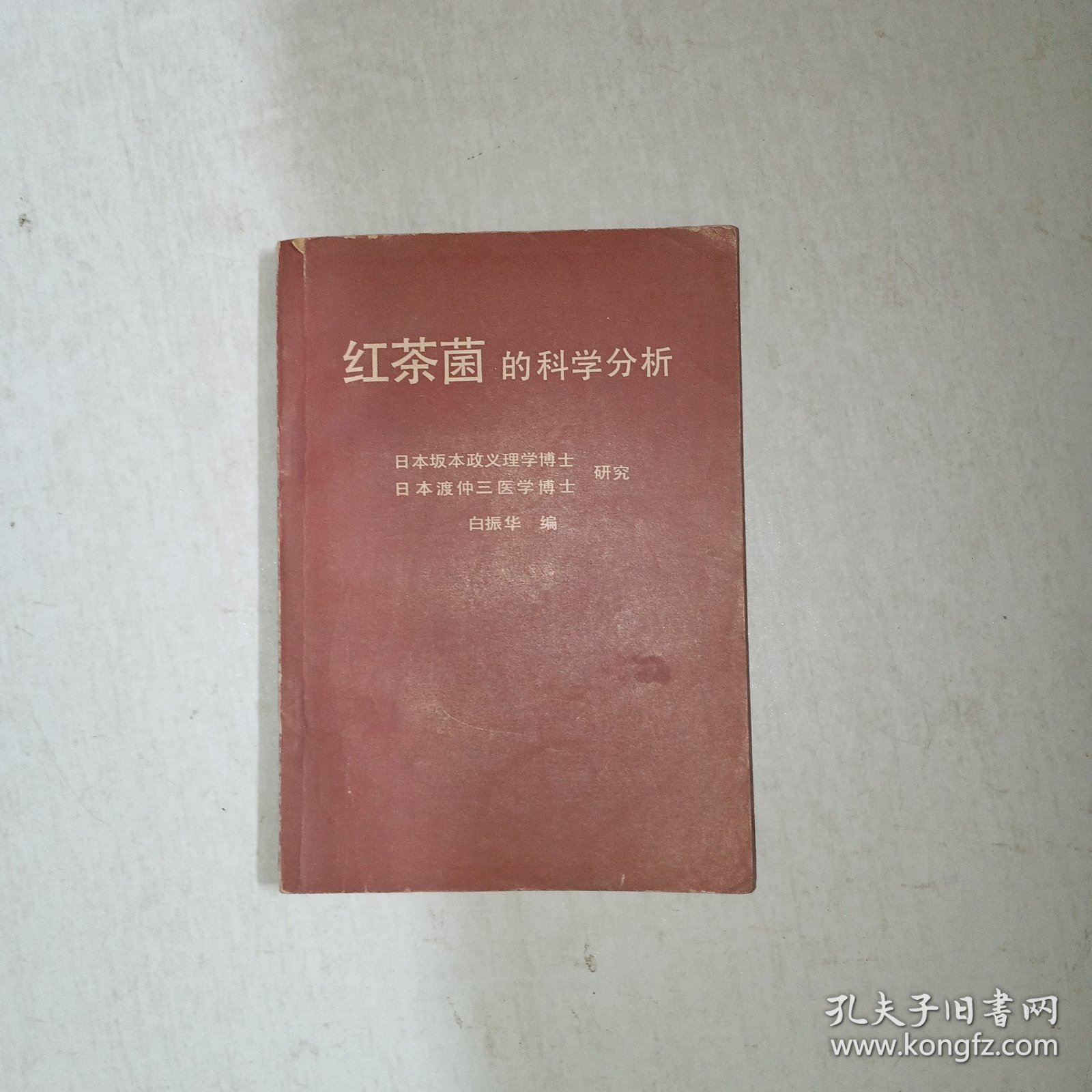 红茶菌的科学分析 1003
