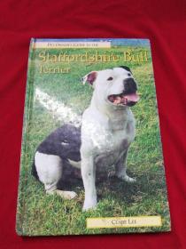 Staffordshire Bull Terrier