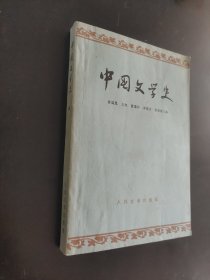 中国文学史（四）