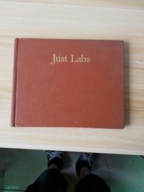 Just Labs拉布拉多(LMEB25339)