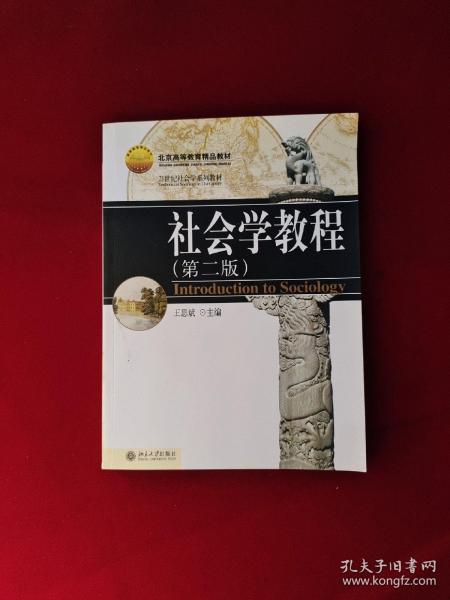 21世纪社会学系列教材：社会学教程（第二版）