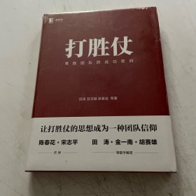 打胜仗:常胜团队的成功密码