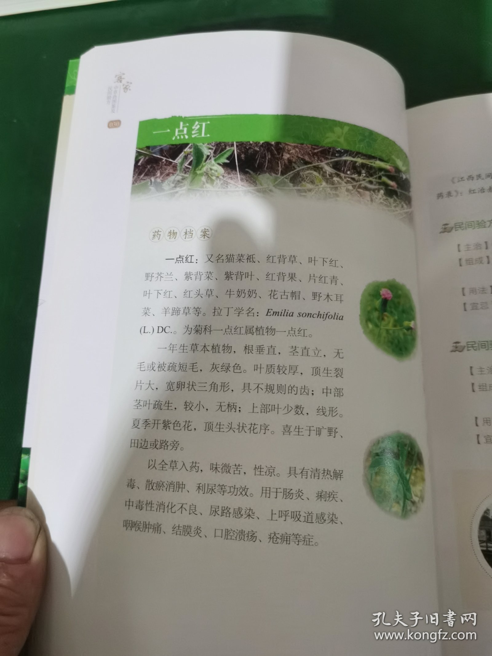 客家中草药图鉴及民间验方