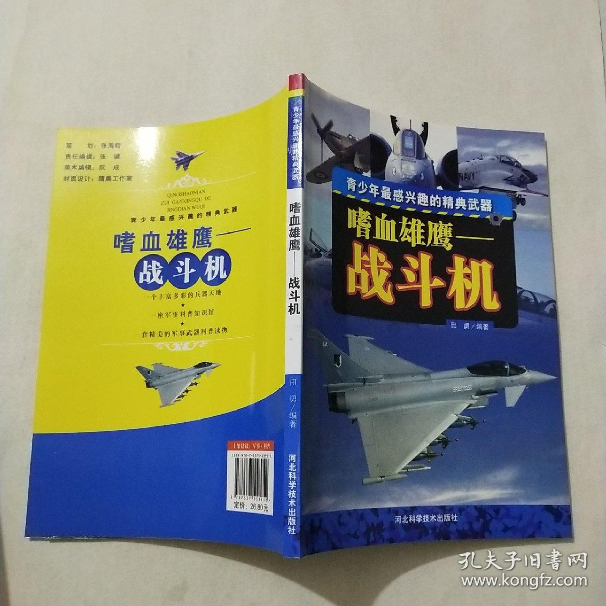 嗜血雄鹰——战斗机