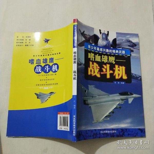 嗜血雄鹰——战斗机