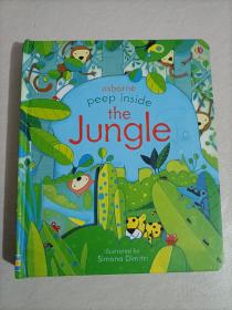 Usborne peep inside the jungle