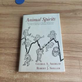 Animal Spirits：How Human Psychology Drives the Economy, and Why It Matters for Global Capitalism