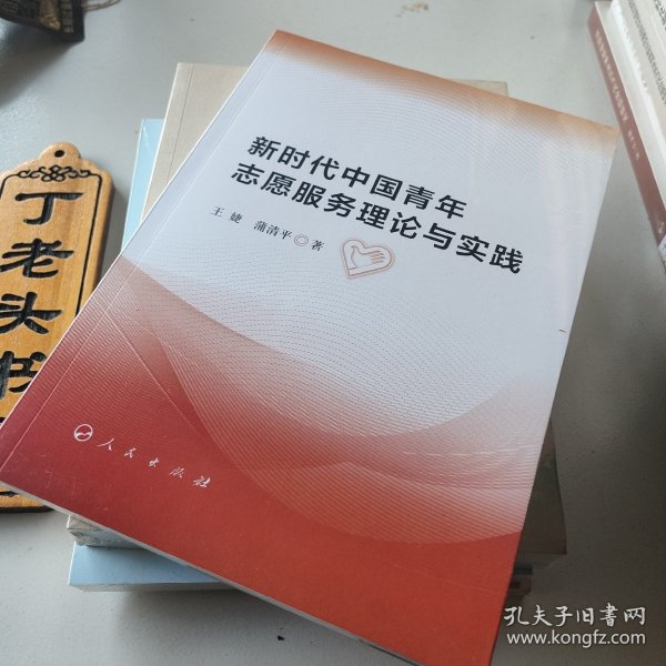 新时代中国青年志愿服务理论与实践
