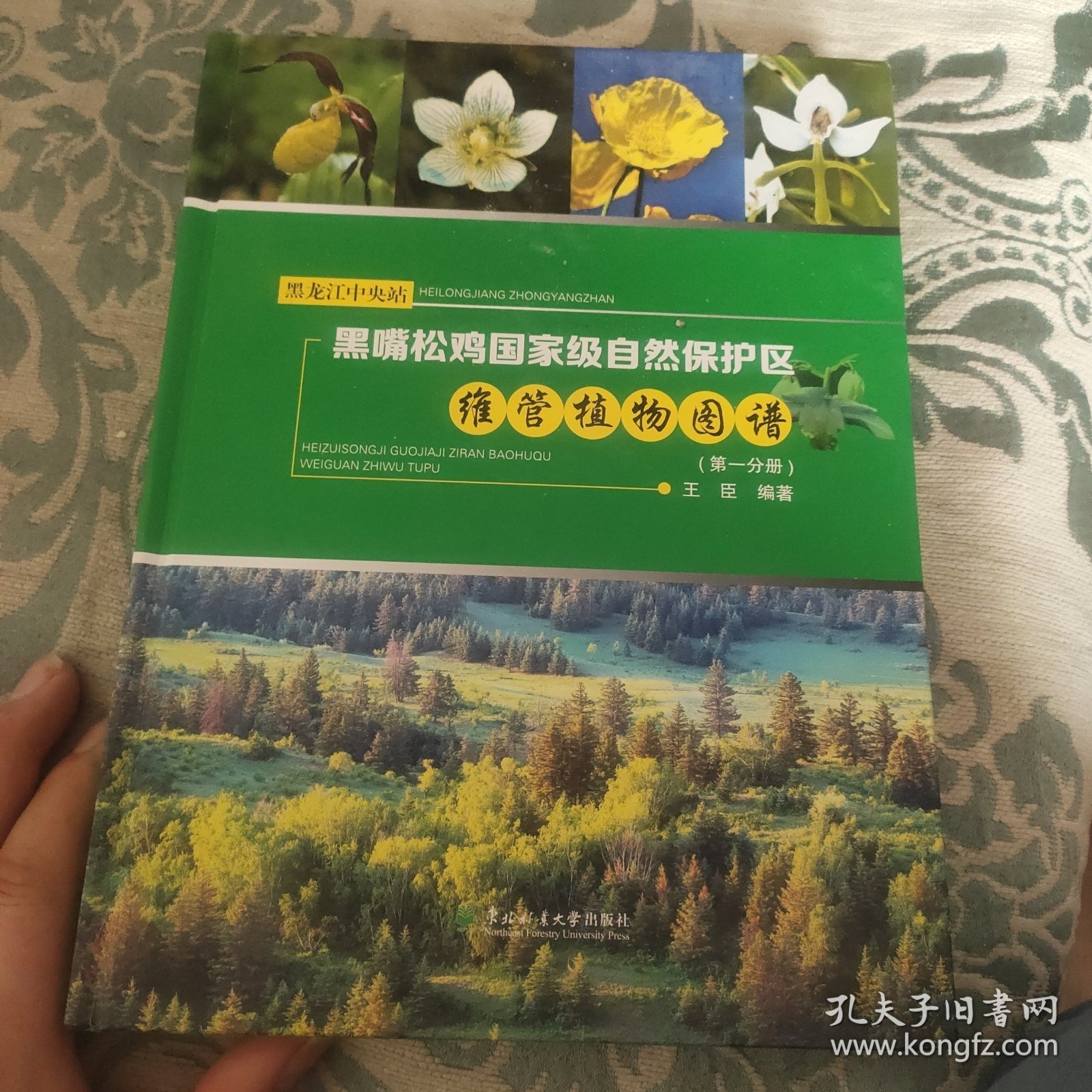 黑龙江中央站黑嘴松鸡国家级自然保护区维管植物图（第一分册）