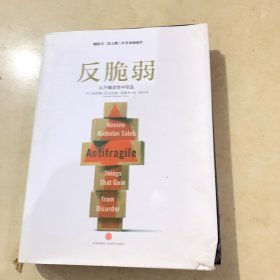 反脆弱：从不确定性中获益